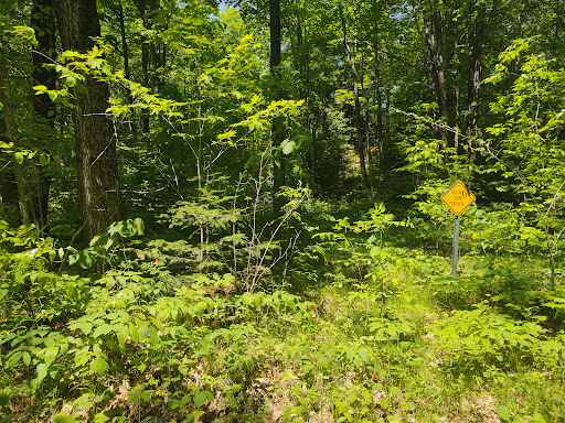 Ice Age Trail – Harrison Hills Segment