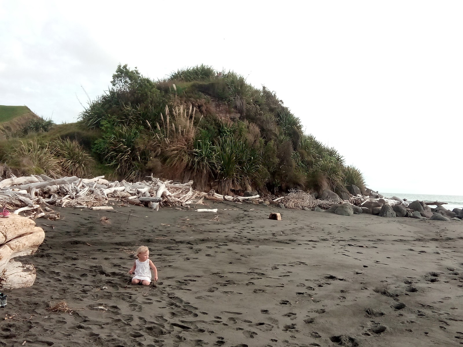 Φωτογραφία του Tapuae Beach με επίπεδο καθαριότητας πολύ καθαρό