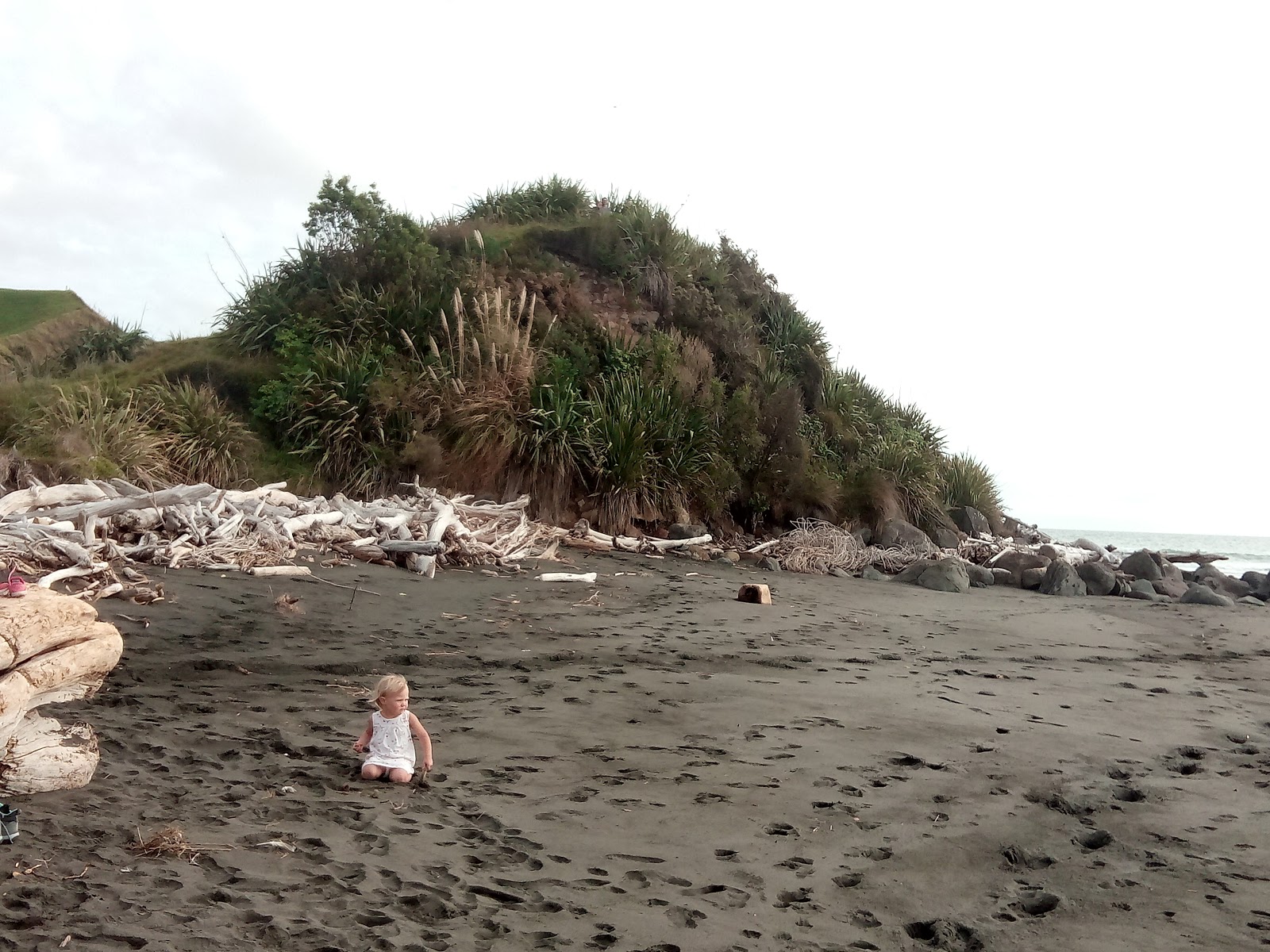Photo de Tapuae Beach zone sauvage