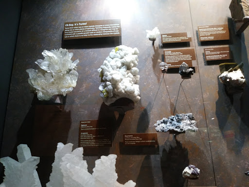 Art Museum «Bruce Museum», reviews and photos, 1 Museum Dr, Greenwich, CT 06830, USA