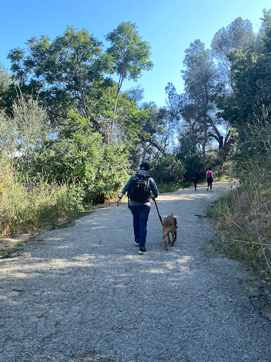 Fryman Canyon Park