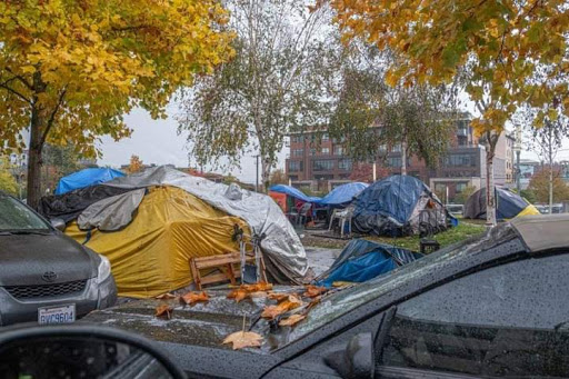 Park «Ballard Commons Park», reviews and photos, 5701 22nd Ave NW, Seattle, WA 98107, USA