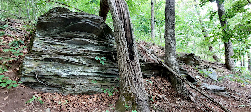 Hiking Area «Gold Branch Trail», reviews and photos, 6156 Lower Roswell Rd, Marietta, GA 30068, USA