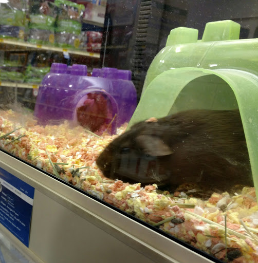 Pet Supply Store «PetSmart», reviews and photos, 14290 Plymouth Ave, Burnsville, MN 55337, USA