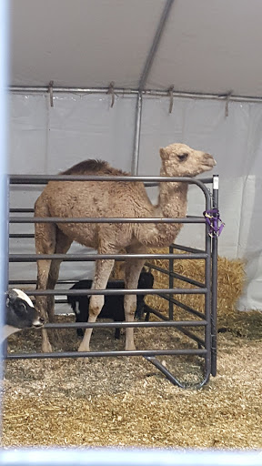 Place of Worship «The Grotto», reviews and photos, 8840 NE Skidmore St, Portland, OR 97220, USA