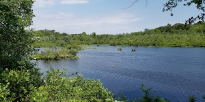 Carasaljo Park