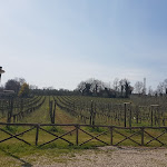 Photo n°5 de l'avis de Elice.r fait le 12/03/2017 à 20:29 sur le  Casale VerdeLuna Wine Resort à Piglio