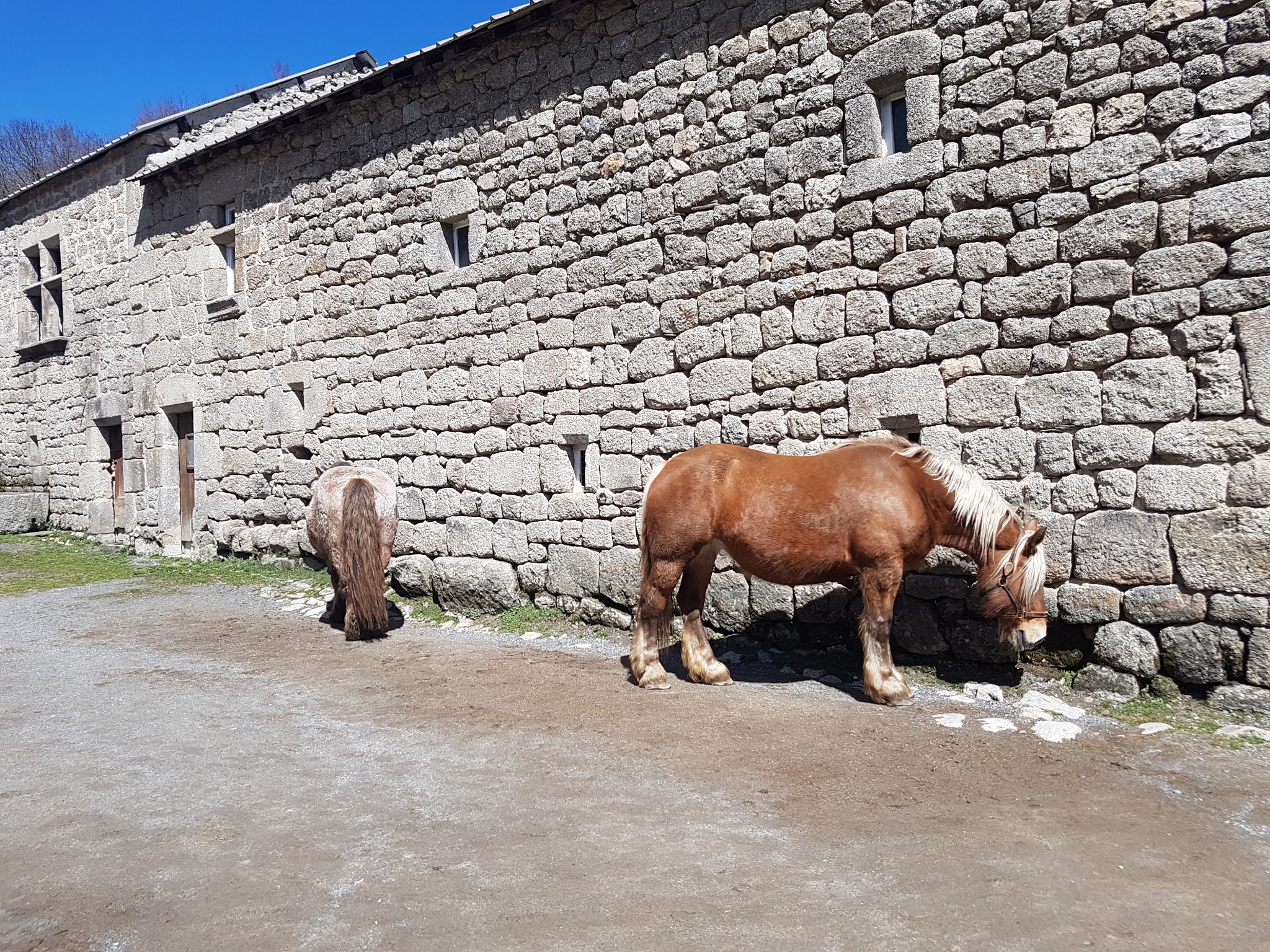Photo n° 1 de l'avis de Bernard.e fait le 05/04/2018 à 19:14