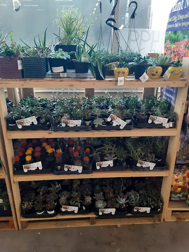 Home Improvement Store «The Home Depot», reviews and photos, 9585 OH-14, Streetsboro, OH 44241, USA