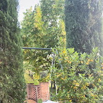 Photo n°1 de l'avis de Davide.a fait le 06/07/2023 à 11:33 sur le  Il Poggio degli Olivi à Passaggio