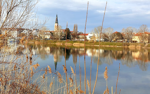 Lagerwiese Romaplatz