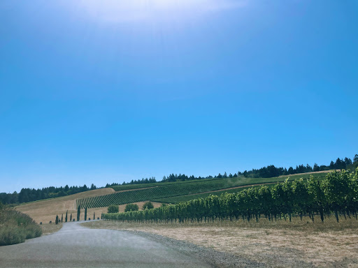 Winery «Methven Family Wines», reviews and photos, 11400 SE Westland Ln, Dayton, OR 97114, USA