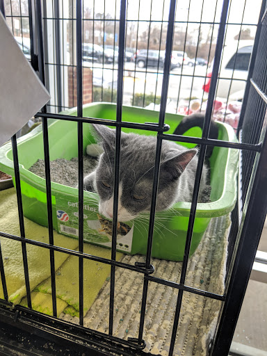 Pet Store «Pet Valu», reviews and photos, 9427 Lorton Market St #7, Lorton, VA 22079, USA