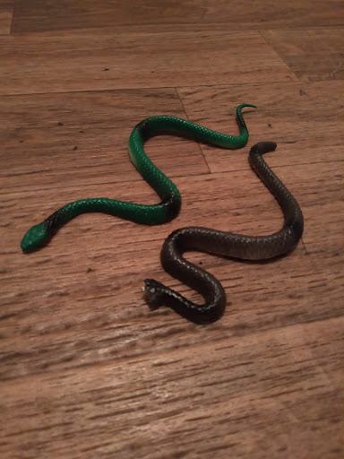 Department Store «Target», reviews and photos, 3550 S Rainbow Blvd, Las Vegas, NV 89103, USA