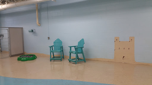 Animal Hospital «Cannon Valley Veterinary Clinic», reviews and photos, 1200 MN-3, Northfield, MN 55057, USA