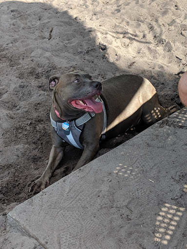 Park «Dr. P. Phillips Community Park», reviews and photos, 8249 Buenavista Woods Blvd, Orlando, FL 32836, USA