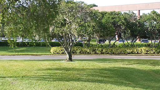 Hotel «Quality Inn & Suites Tampa - Brandon near Casino», reviews and photos, 10007 Princess Palm Ave, Tampa, FL 33619, USA