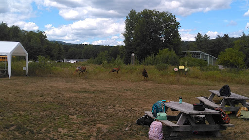 Environmental Organization «VINS Nature Center», reviews and photos, 6565 Woodstock Rd, Quechee, VT 05059, USA