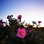 Photo n°1 de l'avis de Massimo.o fait le 25/09/2020 à 20:48 sur le  Osteria Le Gualdanacce à Lodi Vecchio