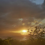 Photo n°14 de l'avis de Angela.a fait le 18/01/2020 à 11:40 sur le  Restaurante Many à Funchal