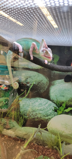 Pet Supply Store «Petco Animal Supplies», reviews and photos, 5190 Borgen Blvd #201, Gig Harbor, WA 98332, USA