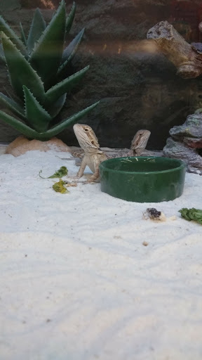 Pet Supply Store «Petco Animal Supplies», reviews and photos, 13127 N Dale Mabry Hwy, Tampa, FL 33618, USA