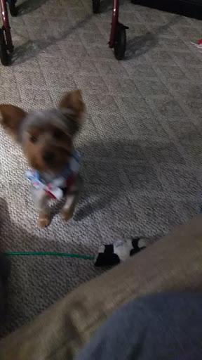 Pet Supply Store «Pet Supplies Plus», reviews and photos, 605 Grand Central Ave, Vienna, WV 26105, USA