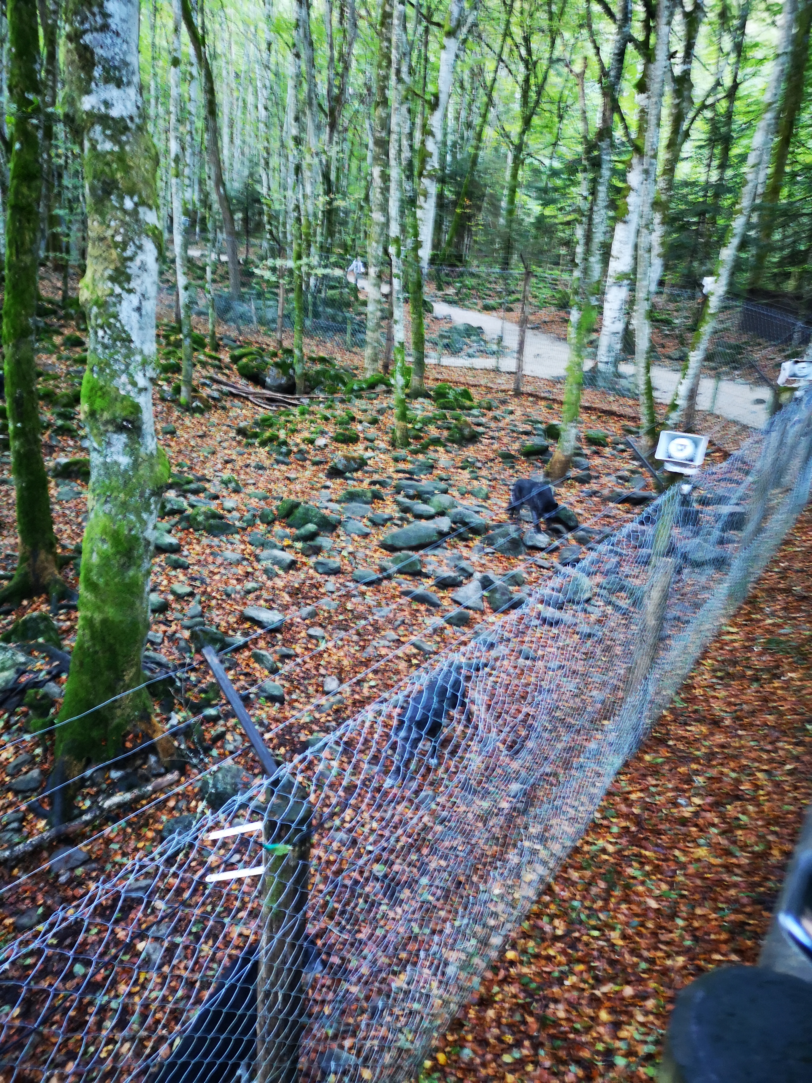 Photo n° 1 de l'avis de Gauvain.o fait le 02/11/2023 à 07:37