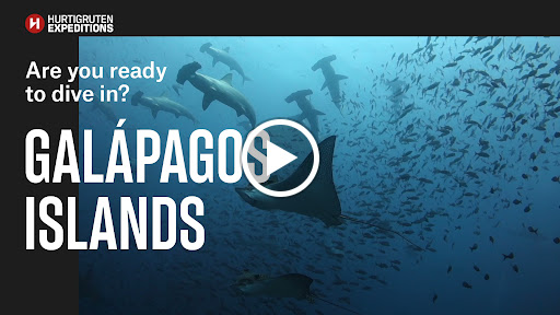 Travel Agency «Awaken Travels», reviews and photos, 1883 S Tucana Ln, Gilbert, AZ 85295, USA