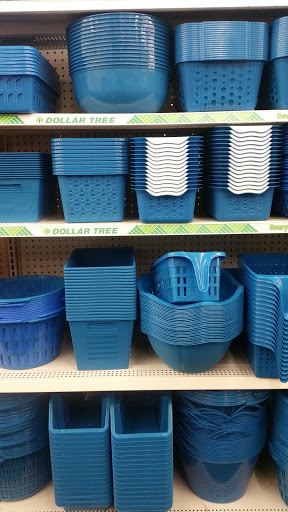 Dollar Store «Dollar Tree», reviews and photos, 1321 Marvin Rd NE, Lacey, WA 98516, USA