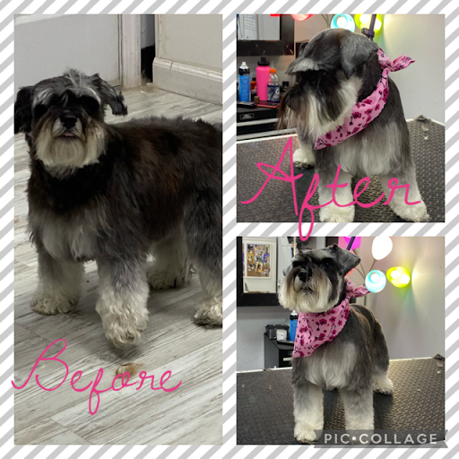 Pet Store «DipidyDawg Gourmet Dog Bakery & Boutique», reviews and photos, 21301 S Tamiami Trail Suite 430, Estero, FL 33928, USA