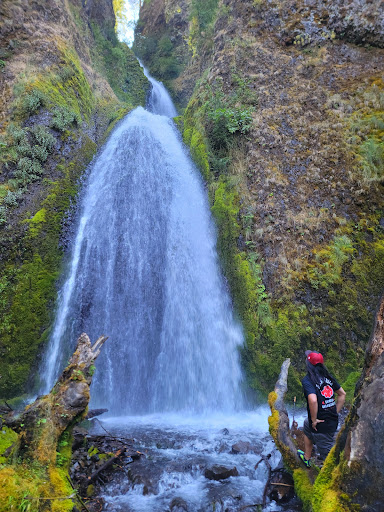 Tourist Attraction «Wahkeena Falls», reviews and photos, Wahkeena Trail #420, Corbett, OR 97019, USA