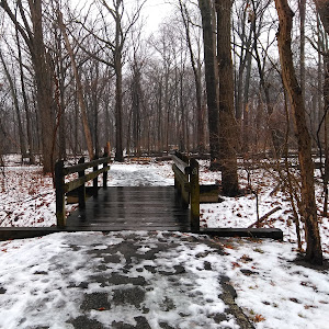 Ottawa Park - review photo