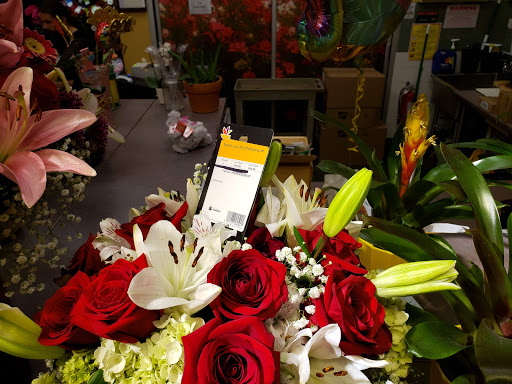 Grocery Store «Stop & Shop», reviews and photos, 209 N Main St, Andover, MA 01810, USA