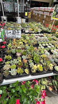 The Home Depot (Garden Center) - Photo 6 - Car repair in San Diego, CA, Chula Vista