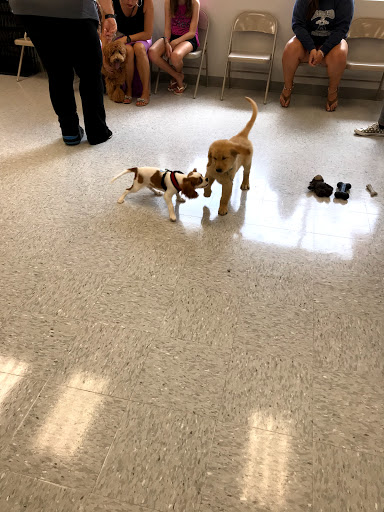 Pet Supply Store «Petco Animal Supplies», reviews and photos, 8111 W Broward Blvd, Plantation, FL 33324, USA