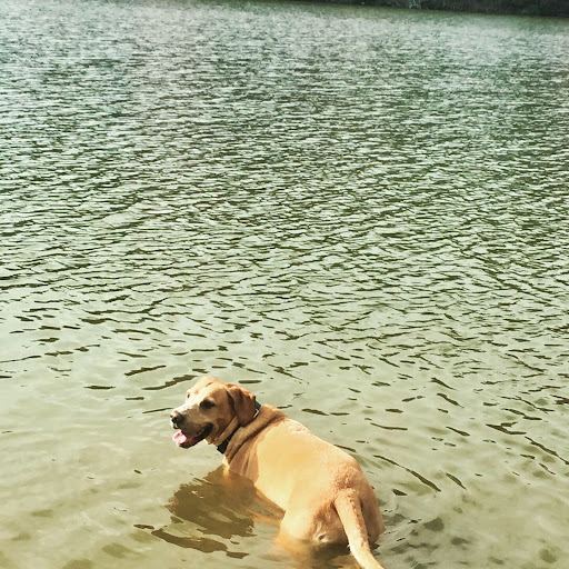 Campground «Winton Woods Campground», reviews and photos, 10245 Winton Rd, Cincinnati, OH 45231, USA