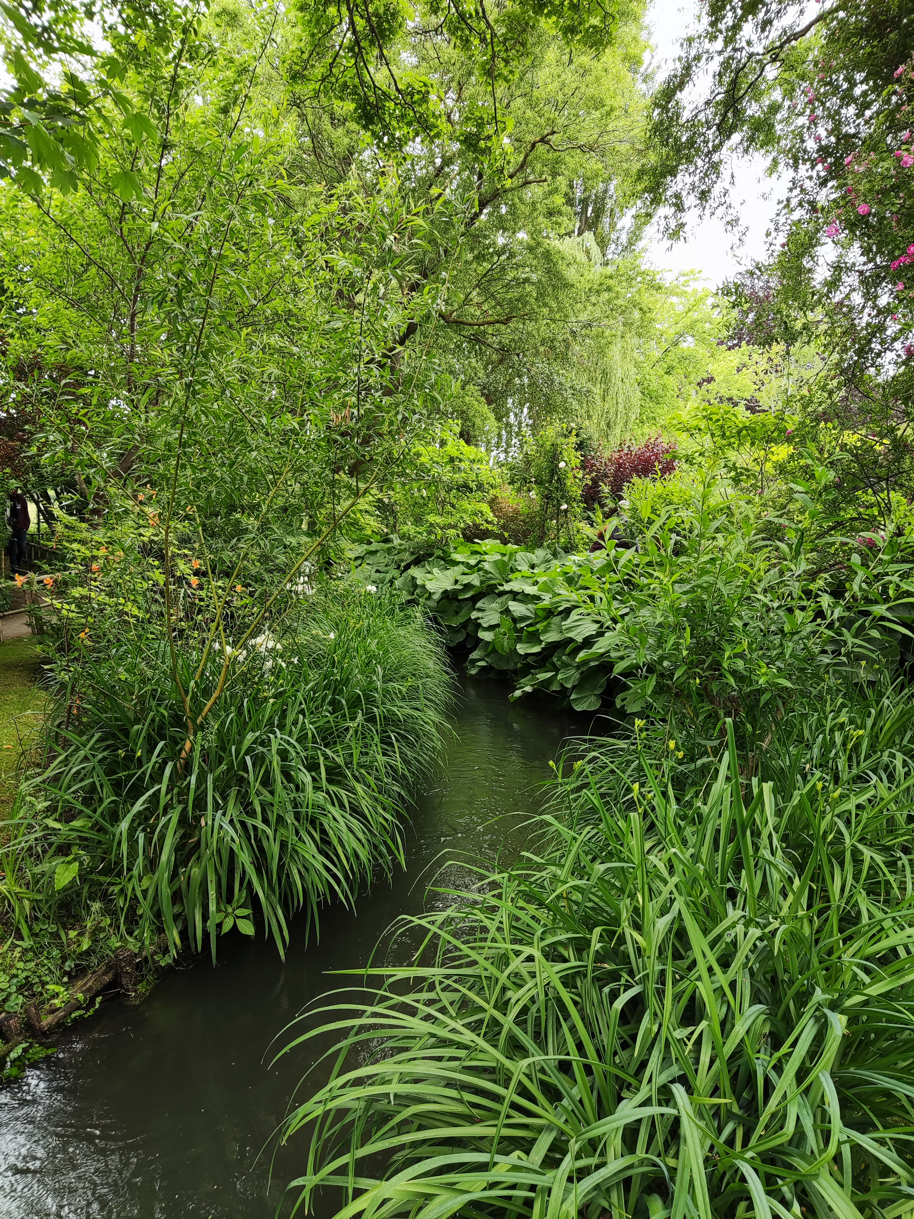 Photo n° 2 de l'avis de Thibault.o fait le 27/05/2022 à 21:03