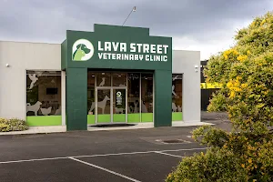 Lava Street Veterinary Clinic image