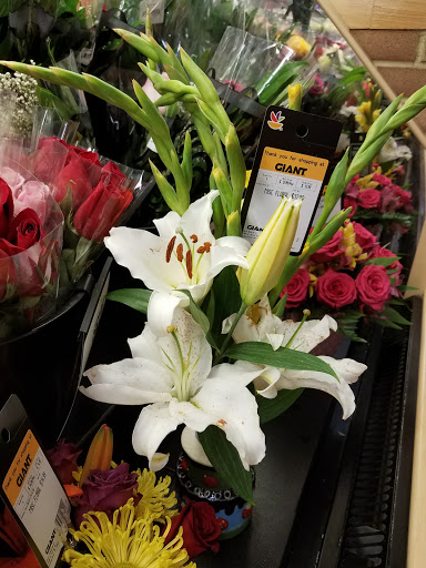 Grocery Store «Giant Food Stores», reviews and photos, 1465 W Broad St, Quakertown, PA 18951, USA