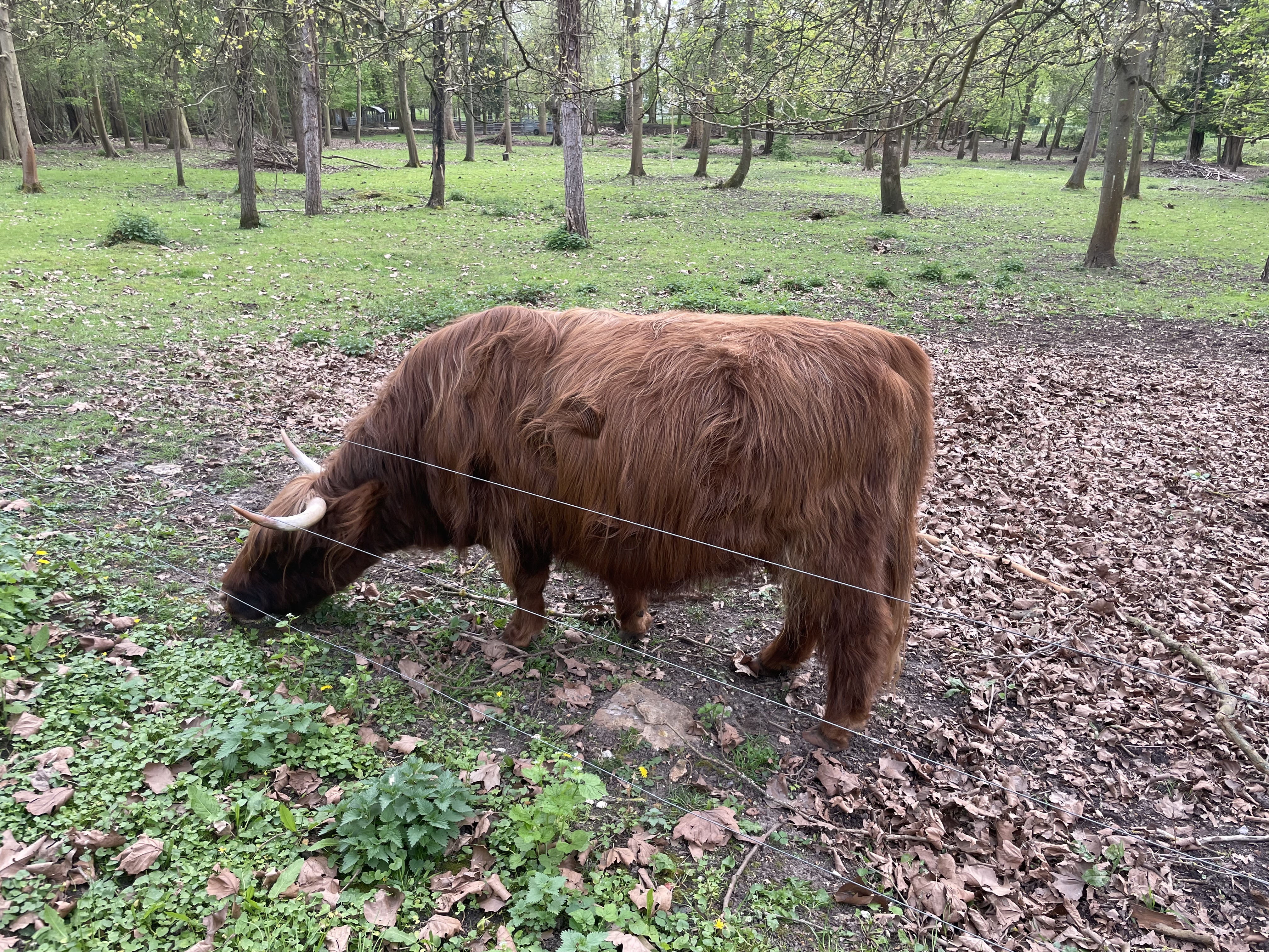 Photo n° 2 de l'avis de Charlotte.I fait le 29/01/2023 à 00:24