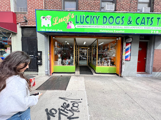 Lucy's Lucky Dogs