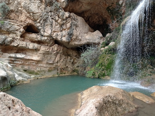 Cueva de las Palomas Valencia