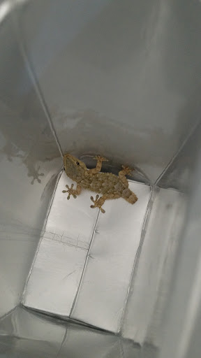 Pet Supply Store «PetSmart», reviews and photos, 5640 Cedar Lake Rd, Minneapolis, MN 55416, USA