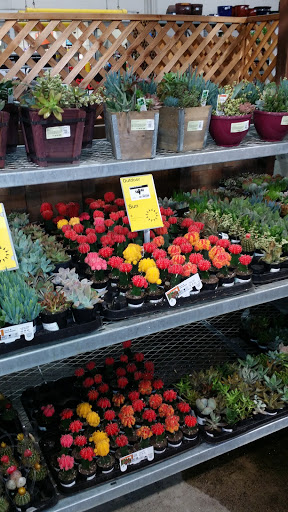 Home Improvement Store «The Home Depot», reviews and photos, 3200 Puente Ave, Baldwin Park, CA 91706, USA