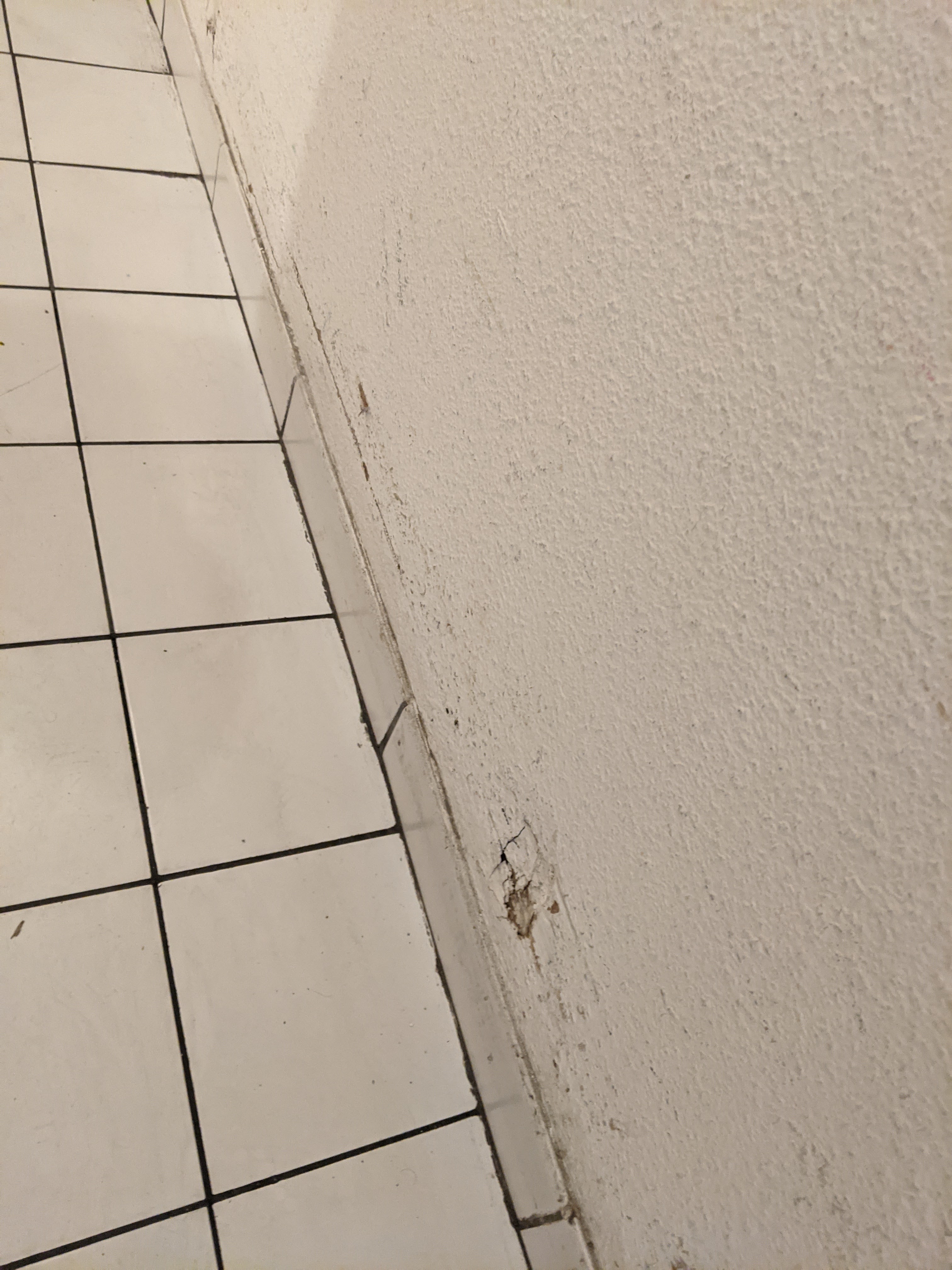 Photo n° 2 de l'avis de Ichrak.e fait le 28/06/2021 à 17:23