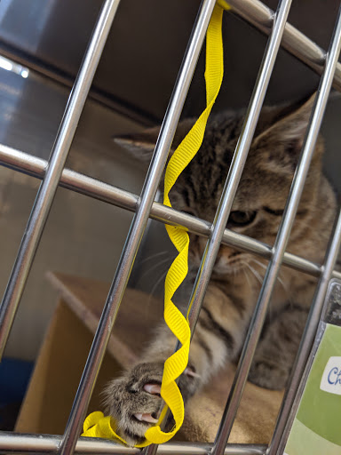 Pet Supply Store «PetSmart», reviews and photos, 5011 Grande Shops Ave, Medina, OH 44256, USA