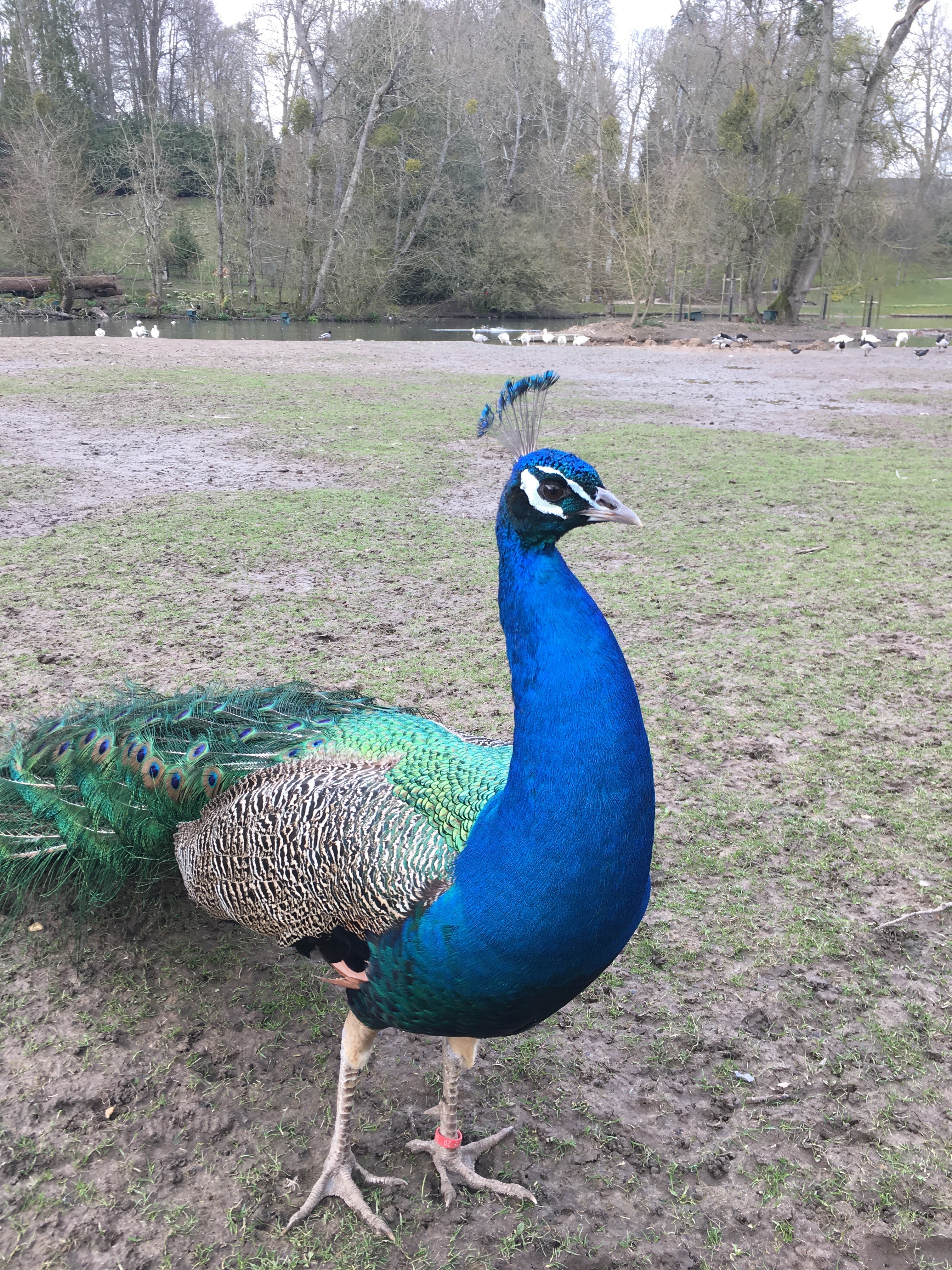 Photo n° 7 de l'avis de Julien.u fait le 23/06/2018 à 00:40
