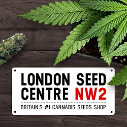Cannabis Seeds UK - LSC