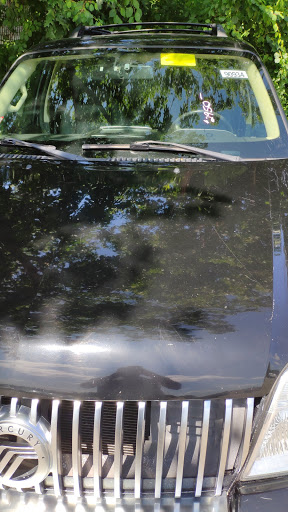 Charity «Helping Hands of America», reviews and photos